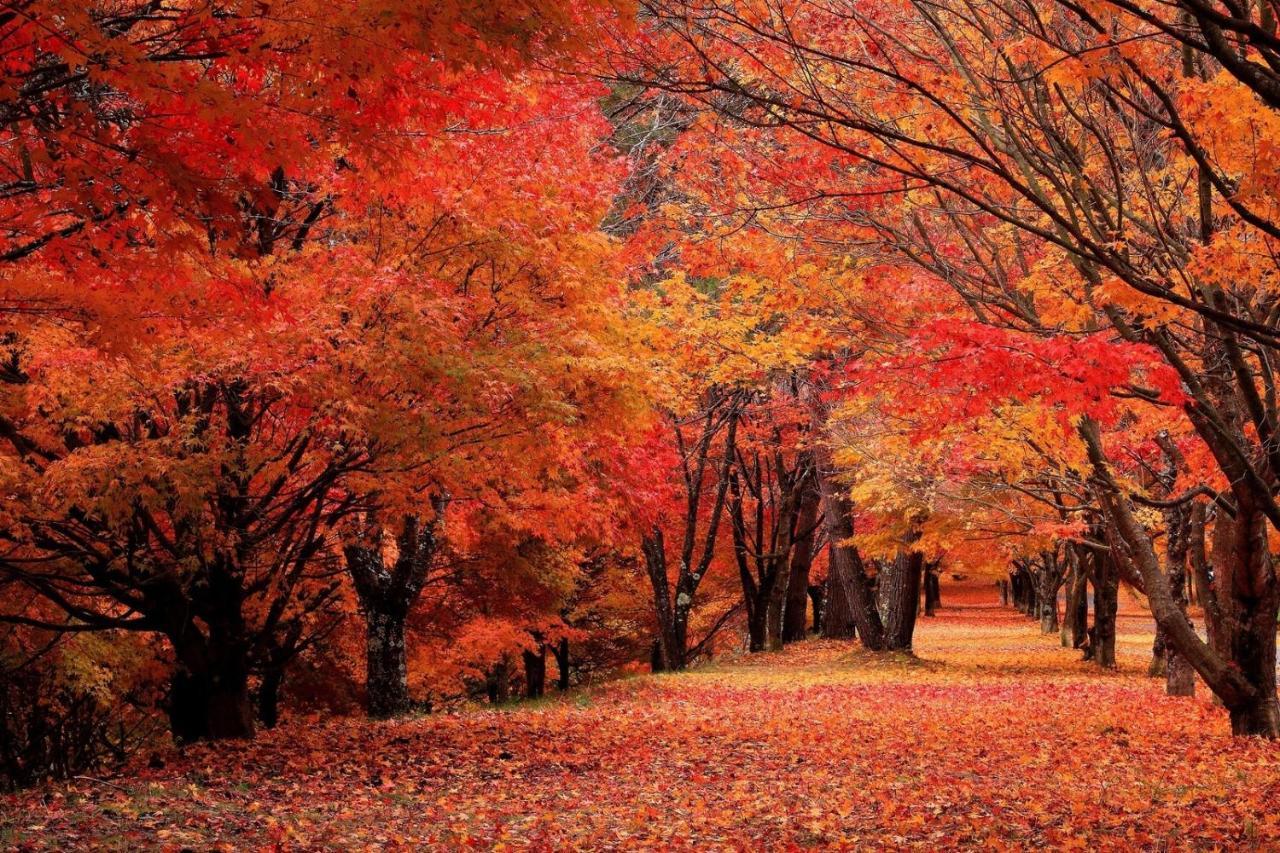 宿屋doya Miyada Dış mekan fotoğraf
